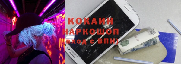 СК Михайлов