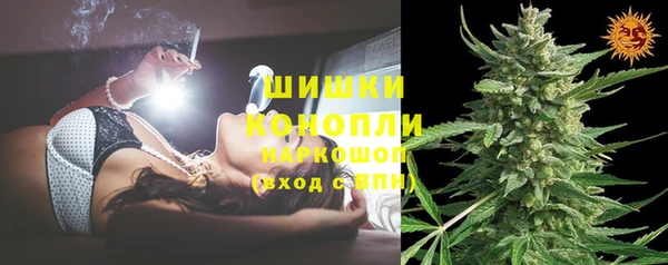 амф Мегион