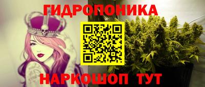 эйфоретик Аргун