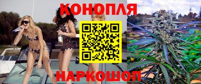 эйфоретик Аргун