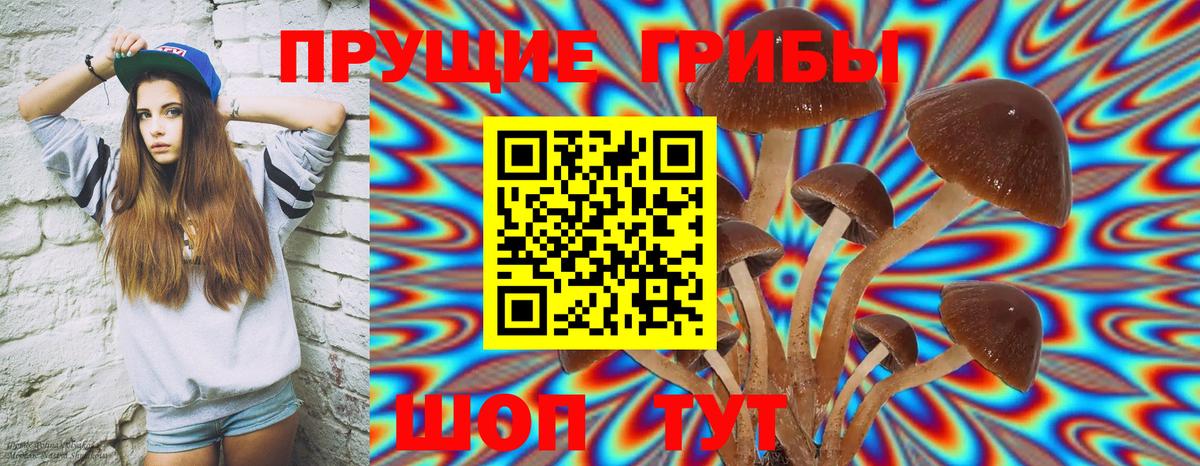 Псилоцибиновые грибы Cubensis  Галлюциногенные грибы Cubensis  Братск  Вход с VPN 