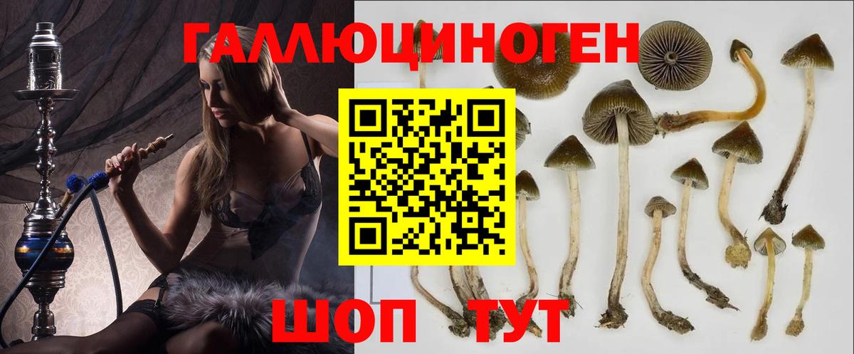 Псилоцибиновые грибы ЛСД Братск