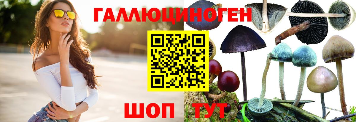 наркошоп  Братск  Галлюциногенные грибы ЛСД 